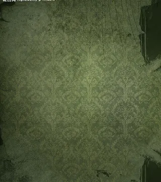 残旧欧式墙纸墙壁图片