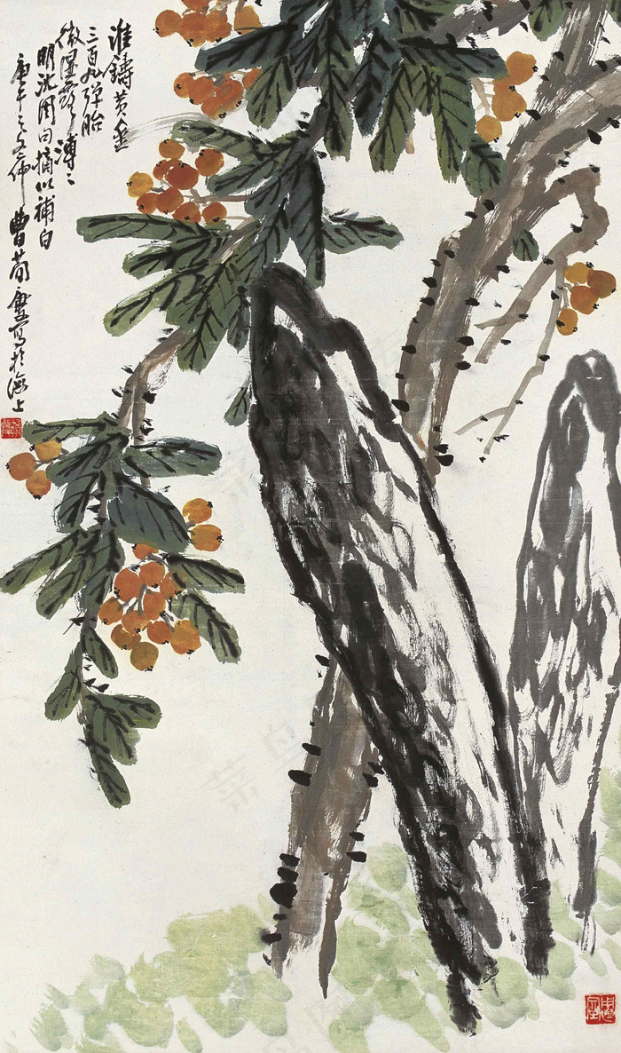 雅石枇杷图片