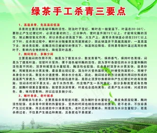 绿茶手工杀青三要点图片