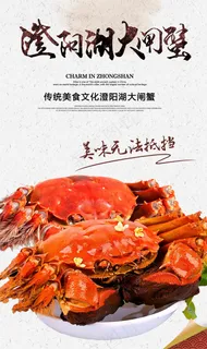 创意唯美清晰澄阳湖大闸蟹