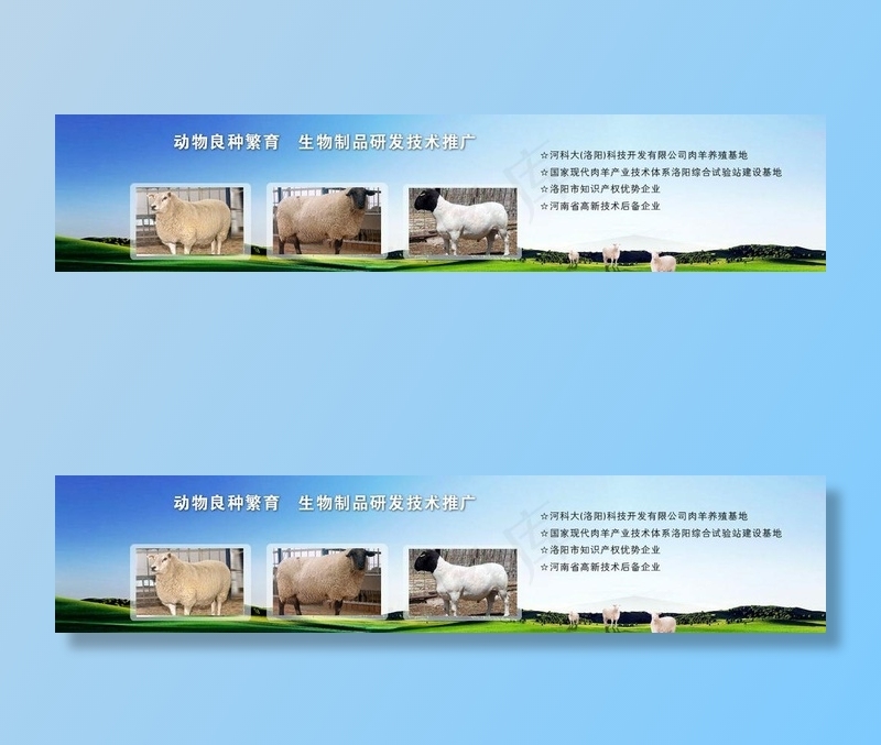 畜牧医药banner图片psd模版下载