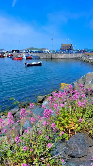 岸边上的车和船高清摄影图片