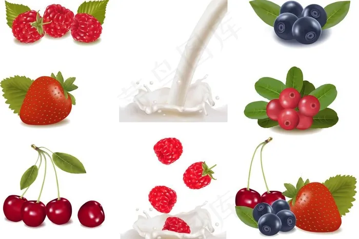 水果 鲜奶 草莓 蓝莓 樱桃 牛奶...eps,ai矢量模版下载
