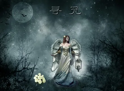 寻觅图片 寻觅图片