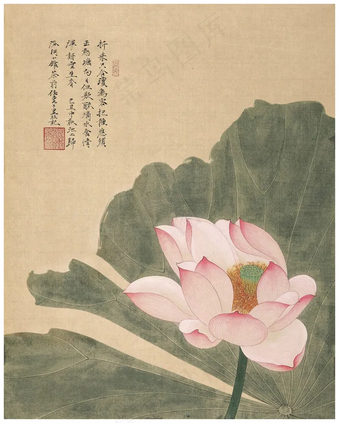 任重 风荷图片