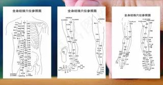 经络图图片