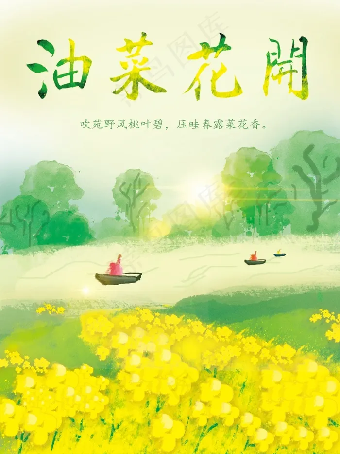 油菜花开