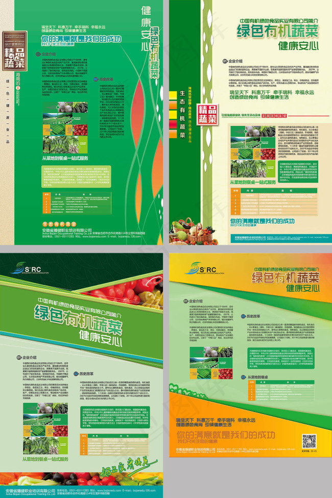 有机蔬菜产品画册宣传册(3150X4724(DPI:200))psd模版下载