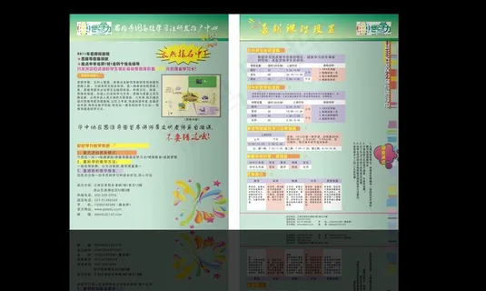 世纪学历宣传单页图片