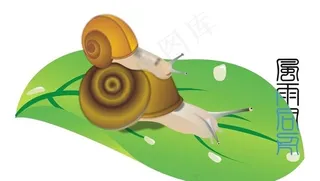 蜗牛图片