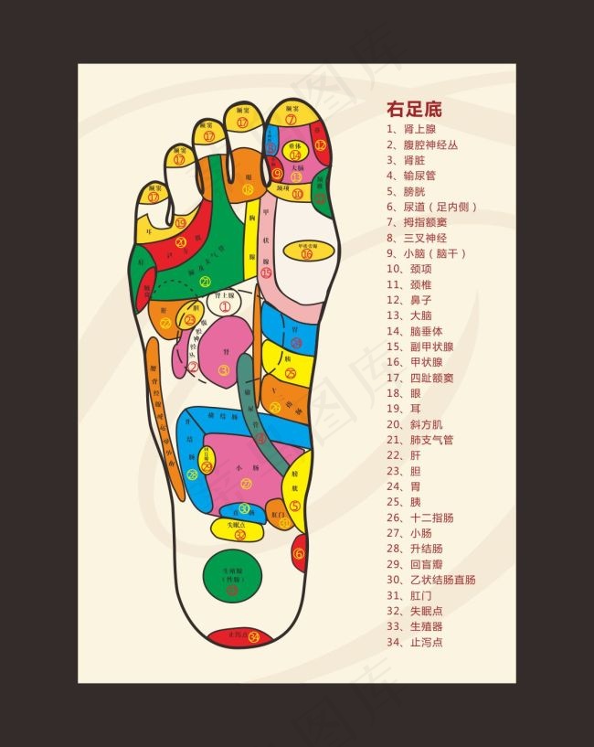 足疗反射图cdr矢量模版下载