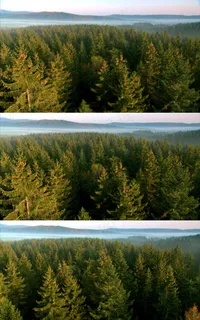 高清航拍国家森林公园视频