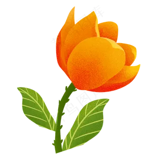 橙色卡通花朵装饰