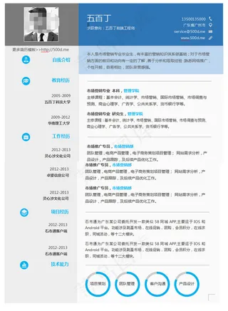 蓝灰色商务WORD文档个人简历