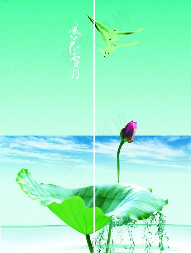 荷花 移门图片cdr矢量模版下载