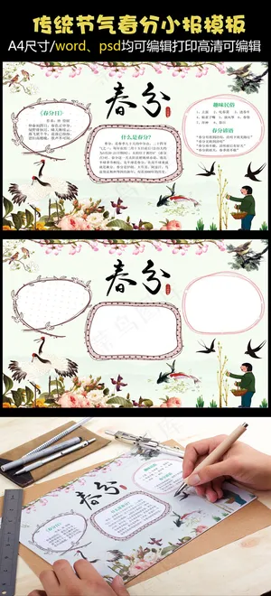 传统风格春分手抄报小报