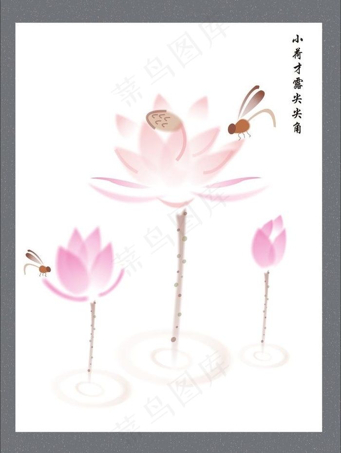 荷花图片cdr矢量模版下载