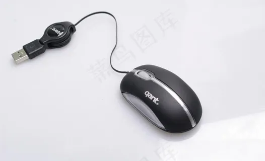 间色小鼠标图片 间色小鼠标图片