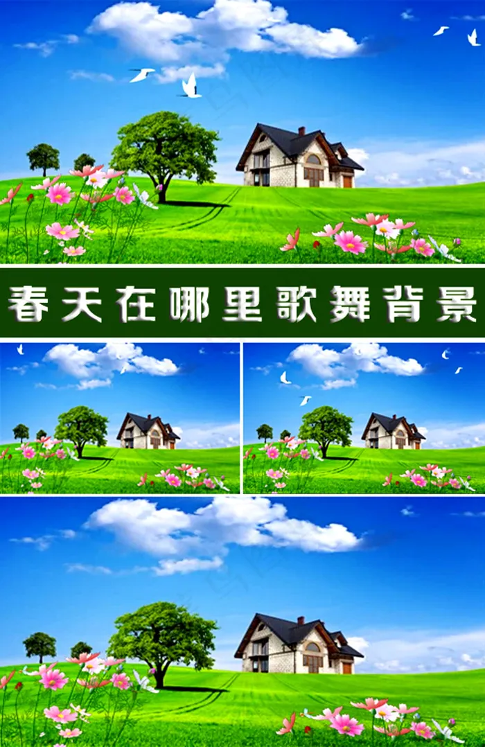 高清蓝天白云鲜花草地视频