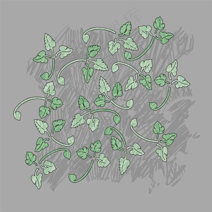 植物叶子素材