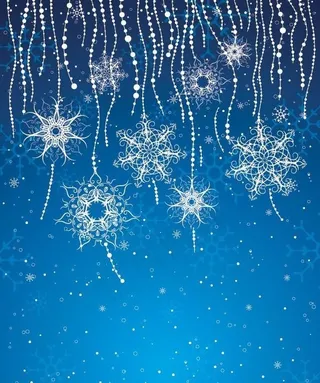 2009七彩雪花背景矢量素材