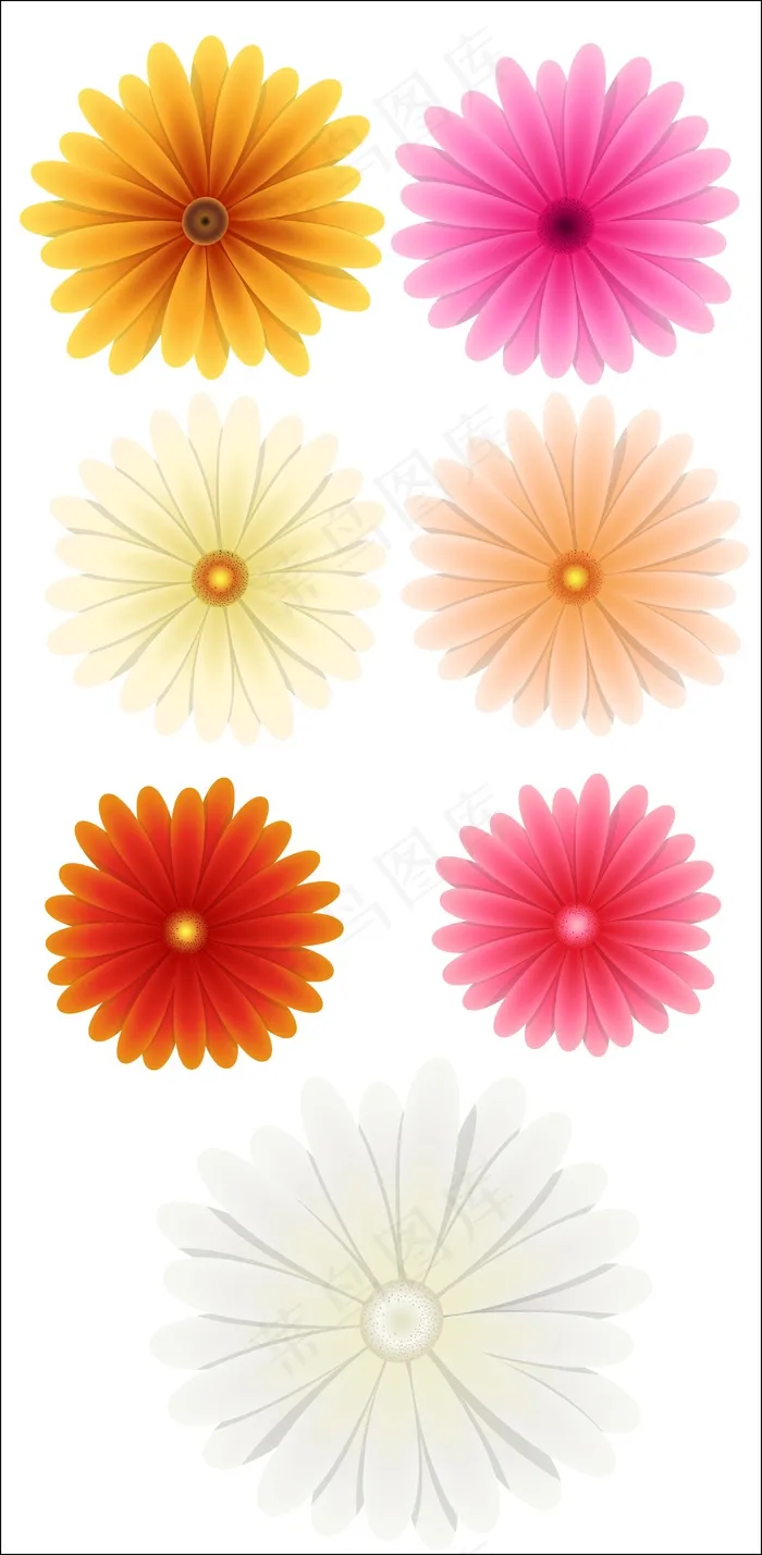 色彩鲜艳的花朵矢量eps,ai矢量模版下载