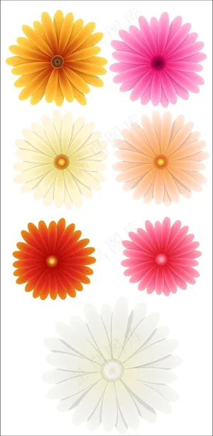 色彩鲜艳的花朵矢量