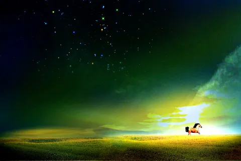 星空 草地 奔马 星空 草地 奔马