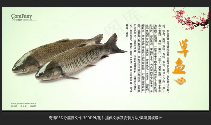 蔬菜展板设计草鱼海报招贴广告设计psd模版下载