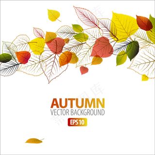 彩色树叶手绘花纹矢量图