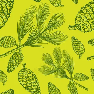 松树枝叶松果线稿矢量素材