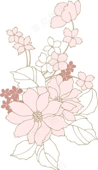 矢量牡丹 牡丹花