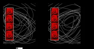 玫瑰线条手提袋图片