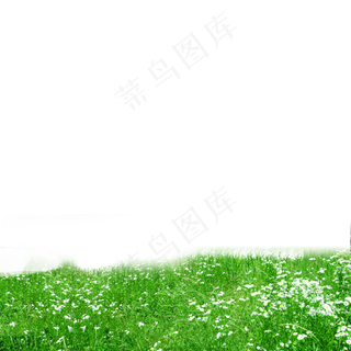 青青花朵草地元素