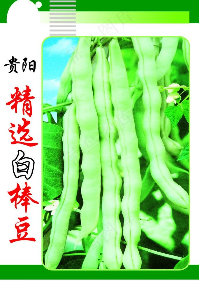 菜种包装设计图片psd模版下载