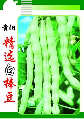 菜种包装设计图片