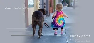 六一唯美海报模板