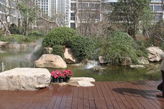 南京高档楼盘星雨华府图片