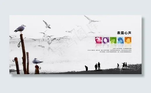沙滩海鸥 表露心声图片 沙滩海鸥 表露心声图片