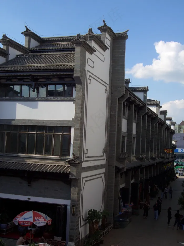 园博花鸟图片