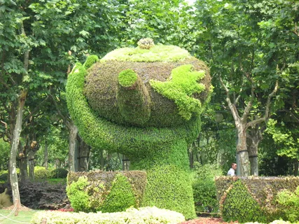 创意绿色图片 创意绿色图片