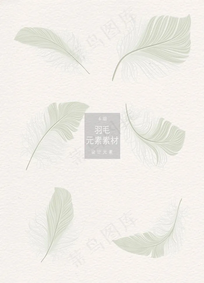 轻盈的羽毛矢量素材eps,ai矢量模版下载