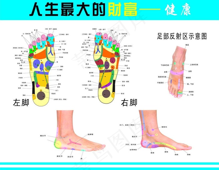 穴位图图片cdr矢量模版下载