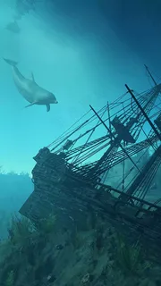 海底世界鲸鱼高清摄影图片