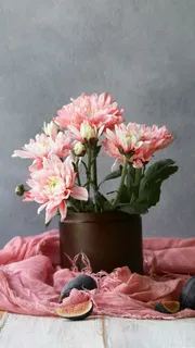 白色的花高清摄影图片