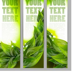 绿叶绿色背景图片