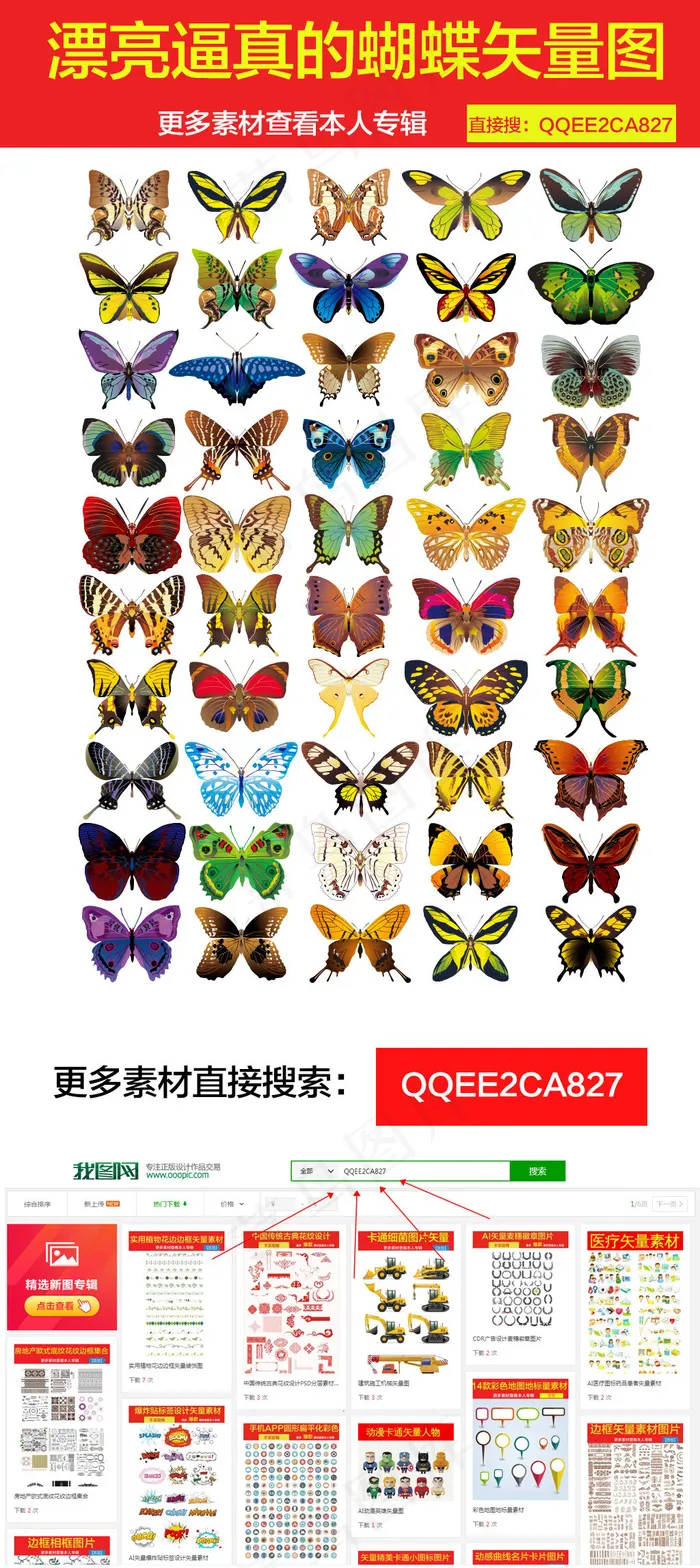 漂亮逼真的蝴蝶素材矢量图ai矢量模版下载