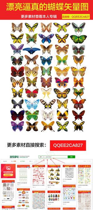 漂亮逼真的蝴蝶素材矢量图