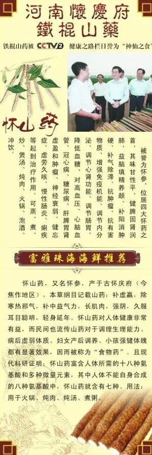 淮山药x展架图片 淮山药x展架图片