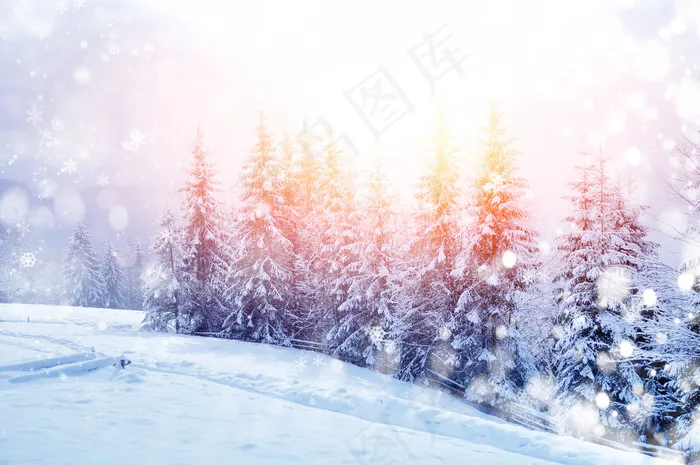 梦幻树林雪景
